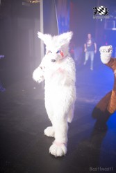 BFD8 0372 von Bastlwastl