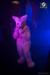 BFD8 0374 von Bastlwastl