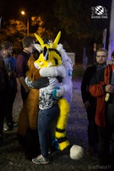 BFD8 0395 von Bastlwastl