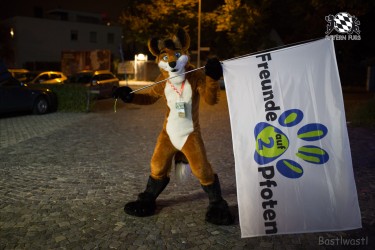 BFD8 0398 von Bastlwastl