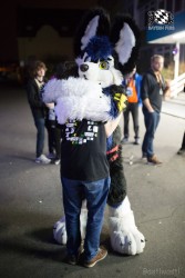 BFD8 0414 von Bastlwastl