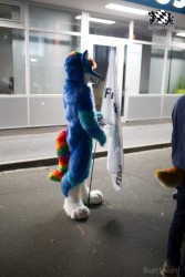 BFD8 0434 von Bastlwastl