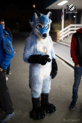 BFD8 0440 von Bastlwastl