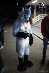 BFD8 0441 von Bastlwastl