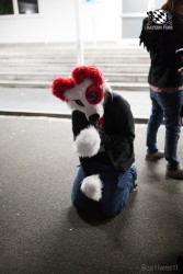 BFD8 0444 von Bastlwastl