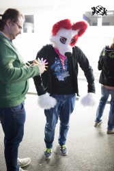 BFD8 0446 von Bastlwastl