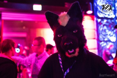 BFD8 0460 von Bastlwastl