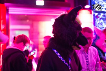 BFD8 0461 von Bastlwastl