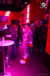 BFD8 0491 von Bastlwastl