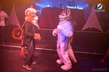 BFD8 0501 von Bastlwastl