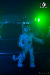 BFD8 0512 von Bastlwastl