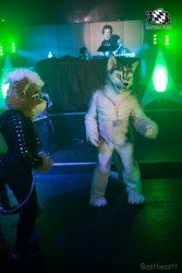 BFD8 0513 von Bastlwastl