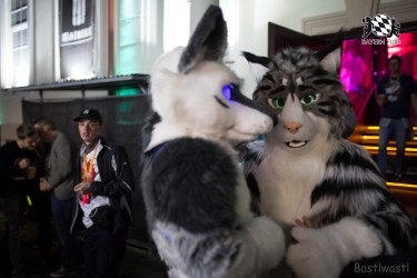 BFD8 0531 von Bastlwastl