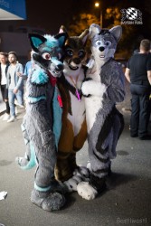 BFD8 0533 von Bastlwastl