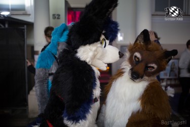 BFD8 0534 von Bastlwastl