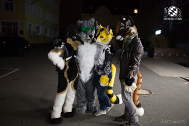 BFD8 0538 von Bastlwastl