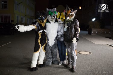 BFD8 0541 von Bastlwastl