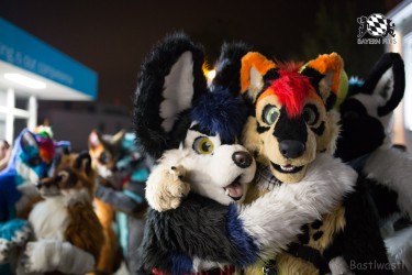 BFD8 0560 von Bastlwastl