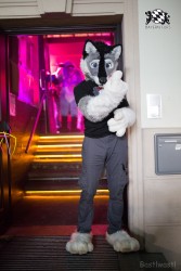 BFD8 0570 von Bastlwastl