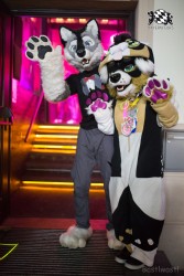 BFD8 0575 von Bastlwastl