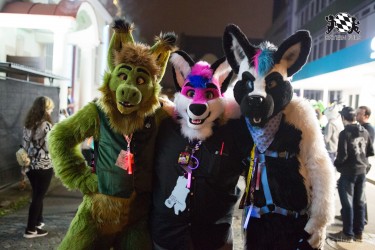 BFD8 0579 von Bastlwastl