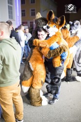 BFD8 0596 von Bastlwastl