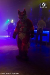 BFD8 0743 von Wachhund