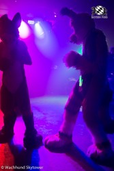 BFD8 0760 von Wachhund