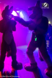 BFD8 0761 von Wachhund