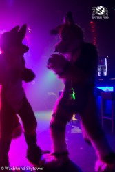 BFD8 0764 von Wachhund