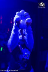 BFD8 0795 von Wachhund