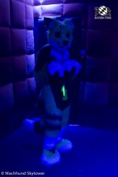 BFD8 0800 von Wachhund