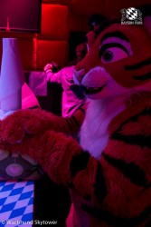 BFD8 0813 von Wachhund