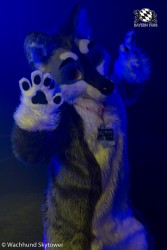 BFD8 0905 von Wachhund