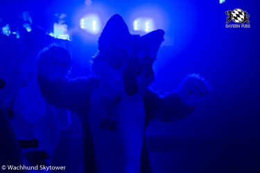 BFD8 0913 von Wachhund