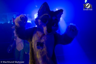 BFD8 0914 von Wachhund