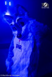 BFD8 0916 von Wachhund