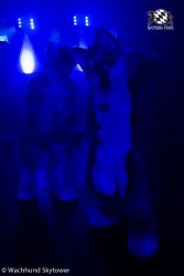 BFD8 0925 von Wachhund