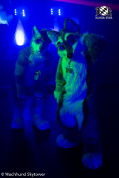 BFD8 0927 von Wachhund