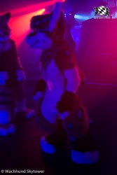 BFD8 0931 von Wachhund