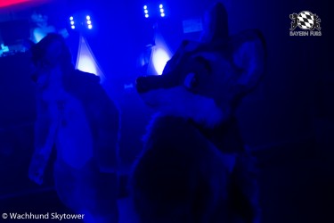 BFD8 0935 von Wachhund