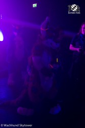 BFD8 0945 von Wachhund