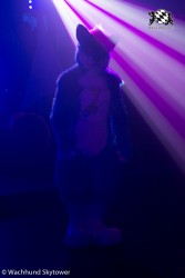 BFD8 0947 von Wachhund