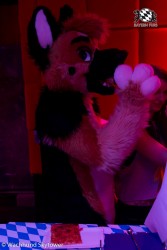 BFD8 0968 von Wachhund