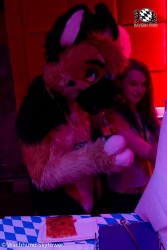 BFD8 0970 von Wachhund