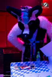 BFD8 0975 von Wachhund