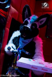 BFD8 0982 von Wachhund