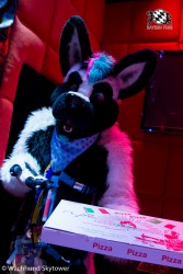 BFD8 0983 von Wachhund