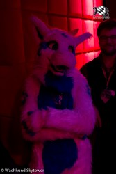 BFD8 0986 von Wachhund