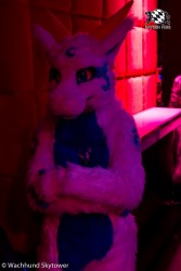 BFD8 0987 von Wachhund